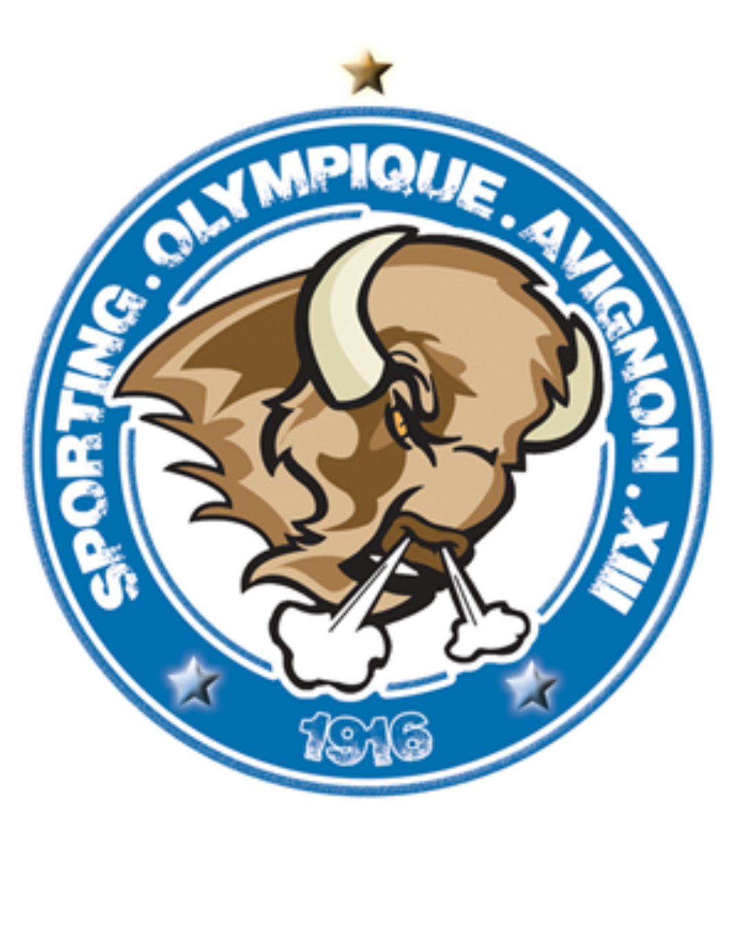 Logo SO Avignon XIII